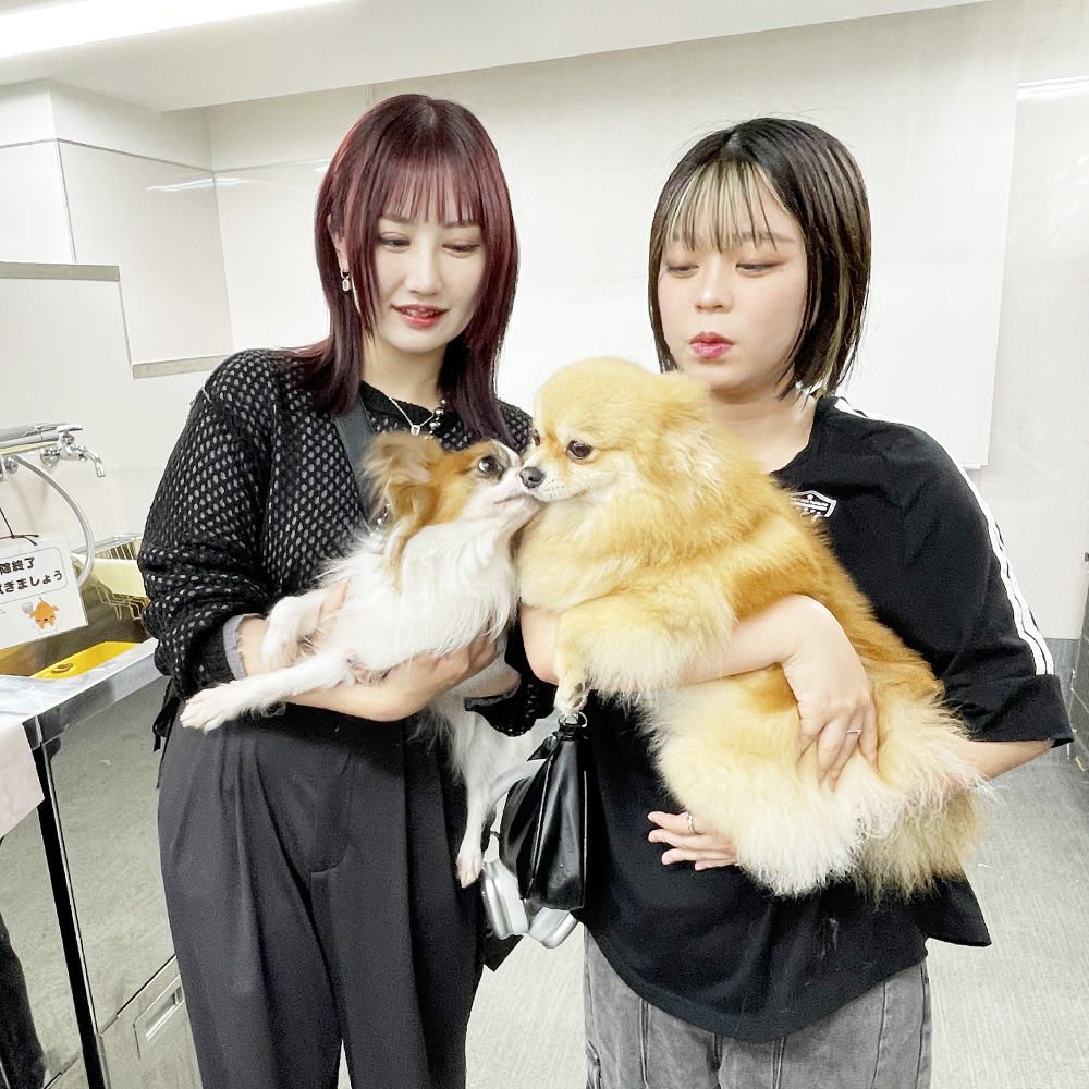 卒業生が３組遊びに来てくれました！
